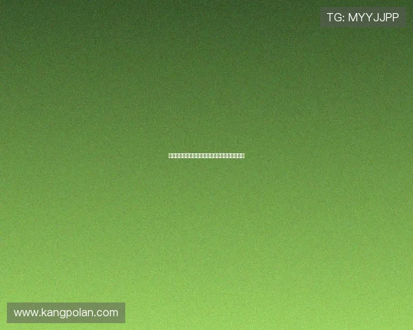 德甲赛季精华回顾：精彩进球与战术分析全面盘点