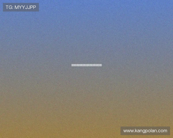 法甲球员在欧洲杯舞台上的精彩表现与潜力分析