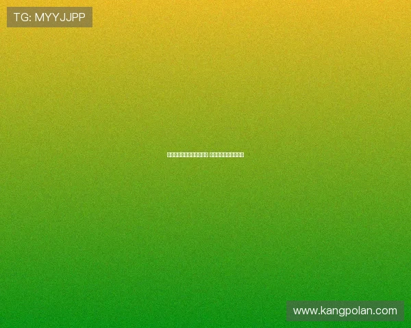 英超赛季触球次数排名解析 谁是场上最活跃的球员